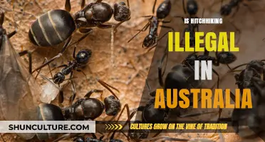 Hitchhiking in Australia: Is It Legal?