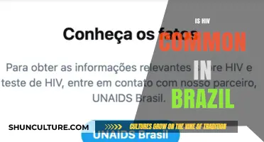 HIV in Brazil: Prevalence, Trends, and Public Health Efforts