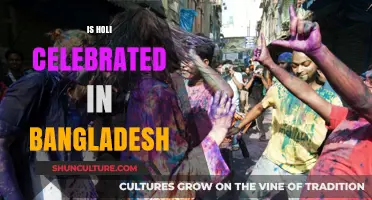 Holi in Bangladesh: Exploring the Celebration of Colors in Bengali Culture