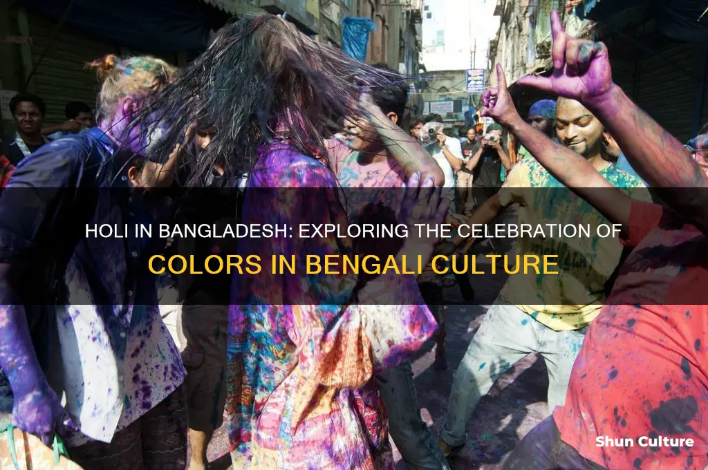 is holi celebrated in bangladesh