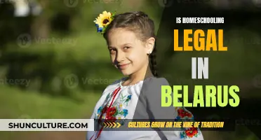 Homeschooling in Belarus: Is It Legal?