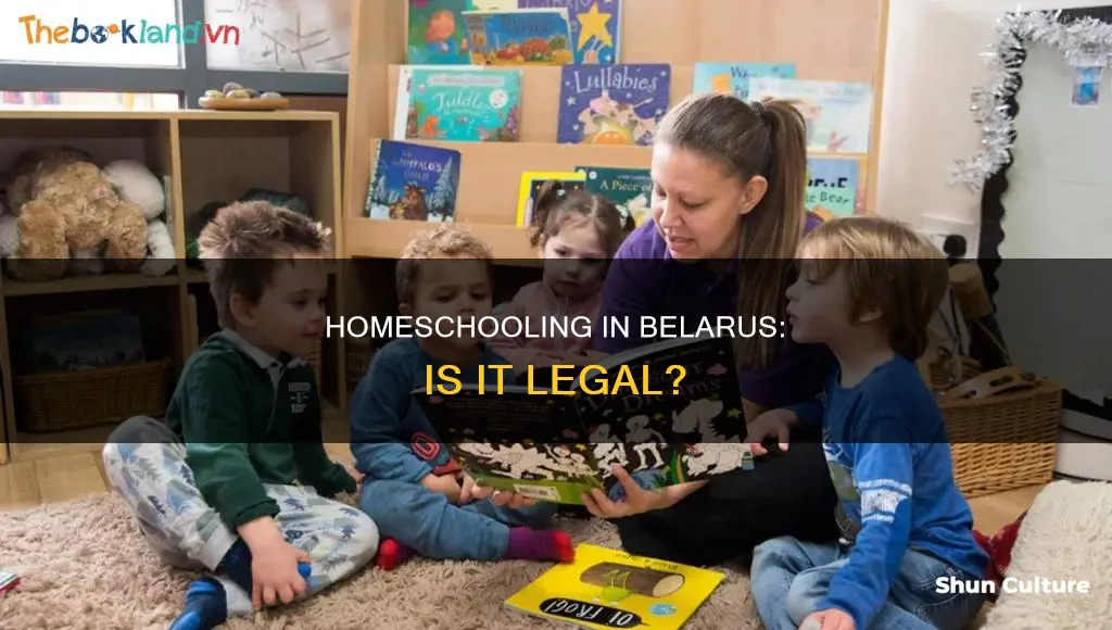 is homeschooling legal in belarus