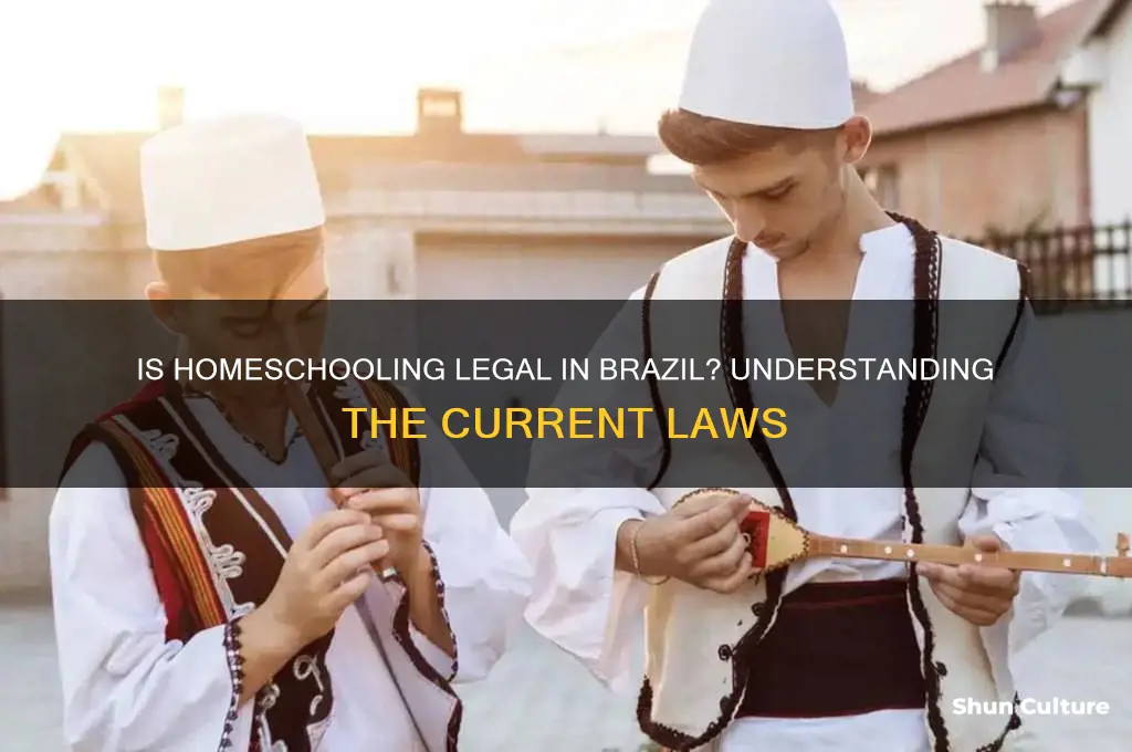 is homeschooling legal in brazil