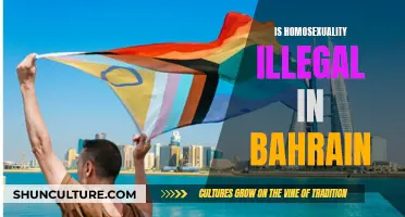 Homosexuality in Bahrain: Criminalization and its Consequences