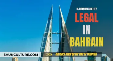 Homosexuality in Bahrain: Legality and Social Stance