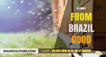 Is Brazilian Honey Worth the Hype? A Sweet Exploration