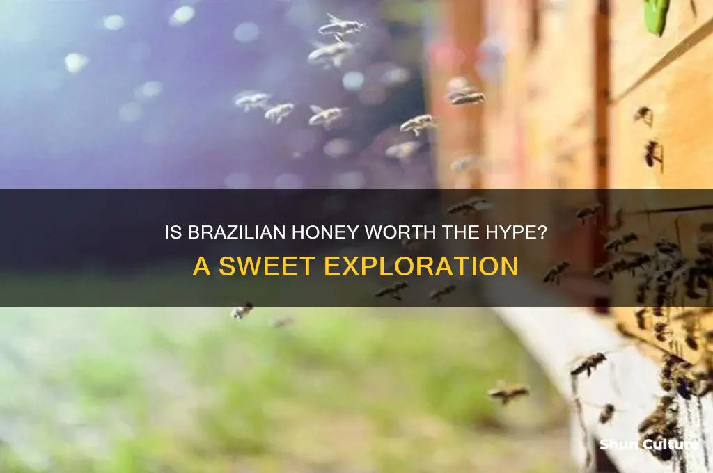 is honey from brazil good
