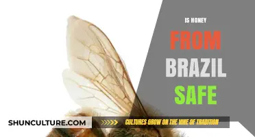 Is Brazilian Honey Safe? Exploring Quality, Regulations, and Health Concerns