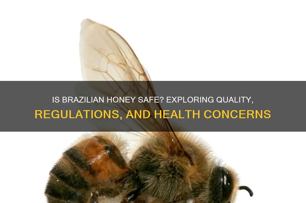 is honey from brazil safe