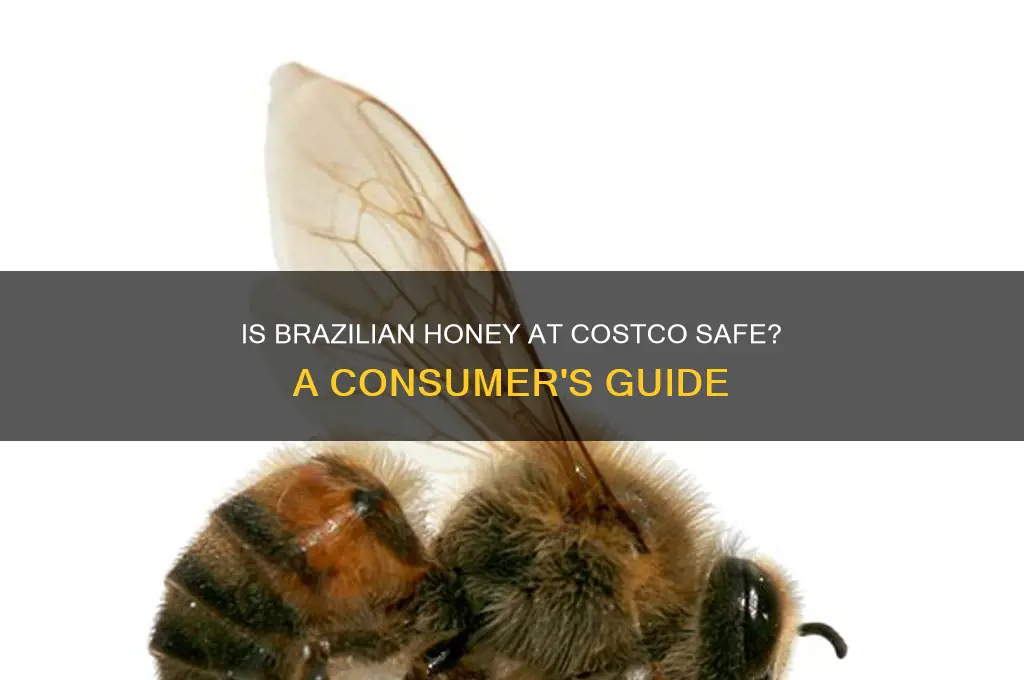 is honey sold at cosco from brazil safe