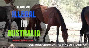 Horse Meat in Australia: Is It Legal?