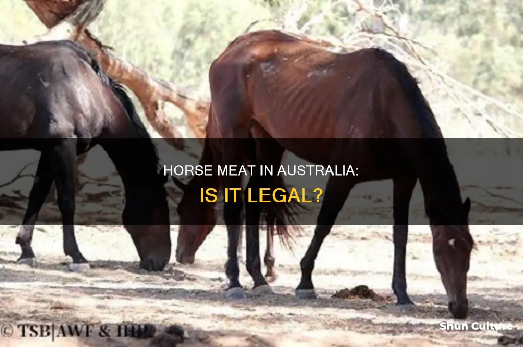 is horse meat illegal in australia