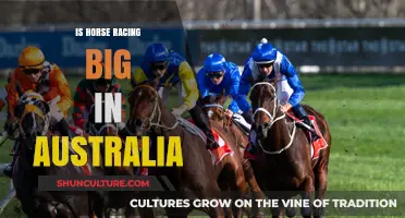Horse Racing: Australia's Massive Sport