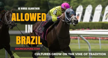 Is Horse Slaughter Legal in Brazil? Exploring the Current Laws