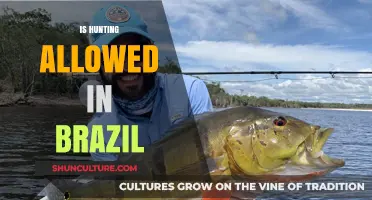 Is Hunting Legal in Brazil? Exploring Regulations and Conservation Efforts