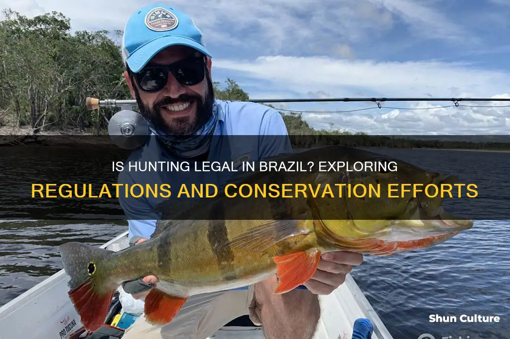 is hunting allowed in brazil