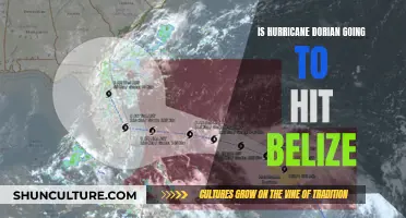 Hurricane Dorian: Will Belize Be Impacted?