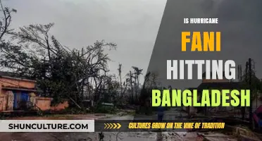 Hurricane Fani's Path: Will Bangladesh Face the Storm's Impact?