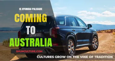 Hyundai Palisade: Will Aussies Get a Taste?
