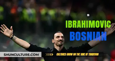 Is Ibrahimovic Bosnian? Unraveling the Footballer's Heritage and Roots