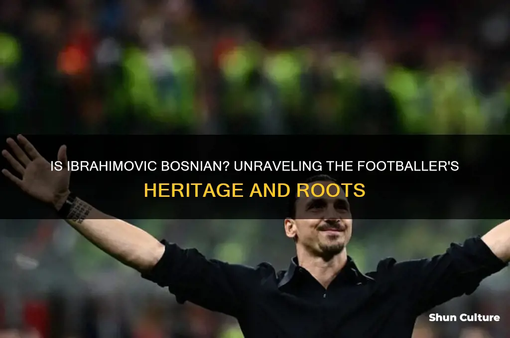 is ibrahimovic bosnian