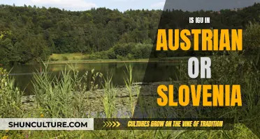 The IGU River: Austria or Slovenia?