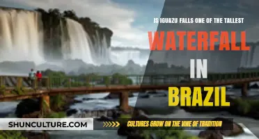 Is Iguazu Falls Among Brazil's Tallest Waterfalls? Unveiling the Truth