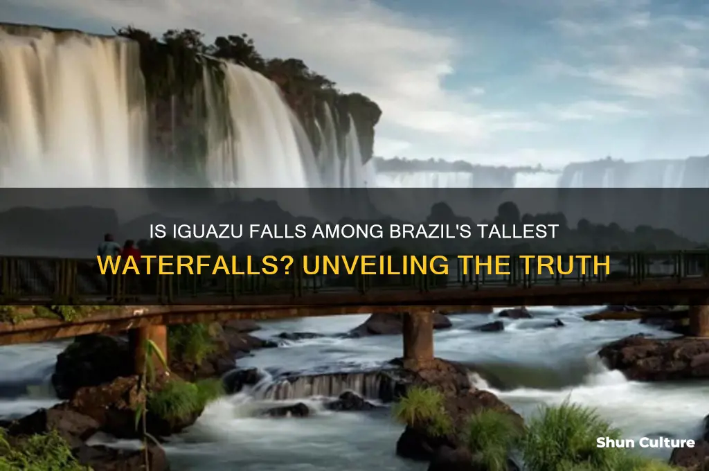 is iguazu falls one of the tallest waterfall in brazil