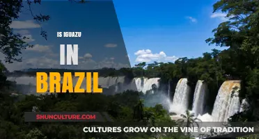 Exploring Iguazu Falls: Brazil's Side of the Natural Wonder