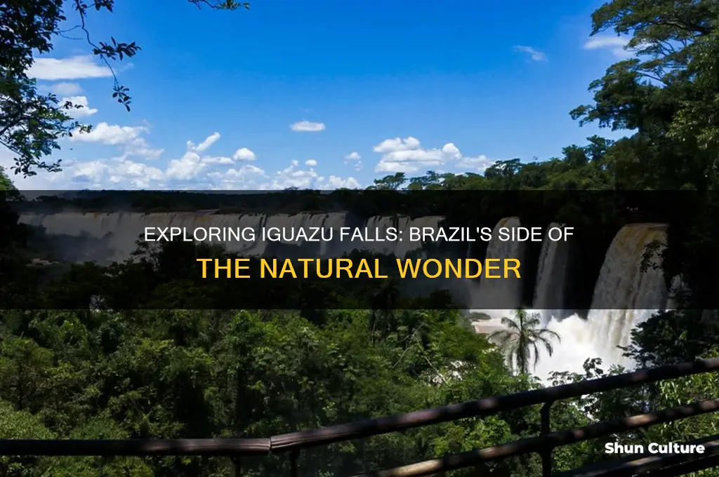 is iguazu in brazil