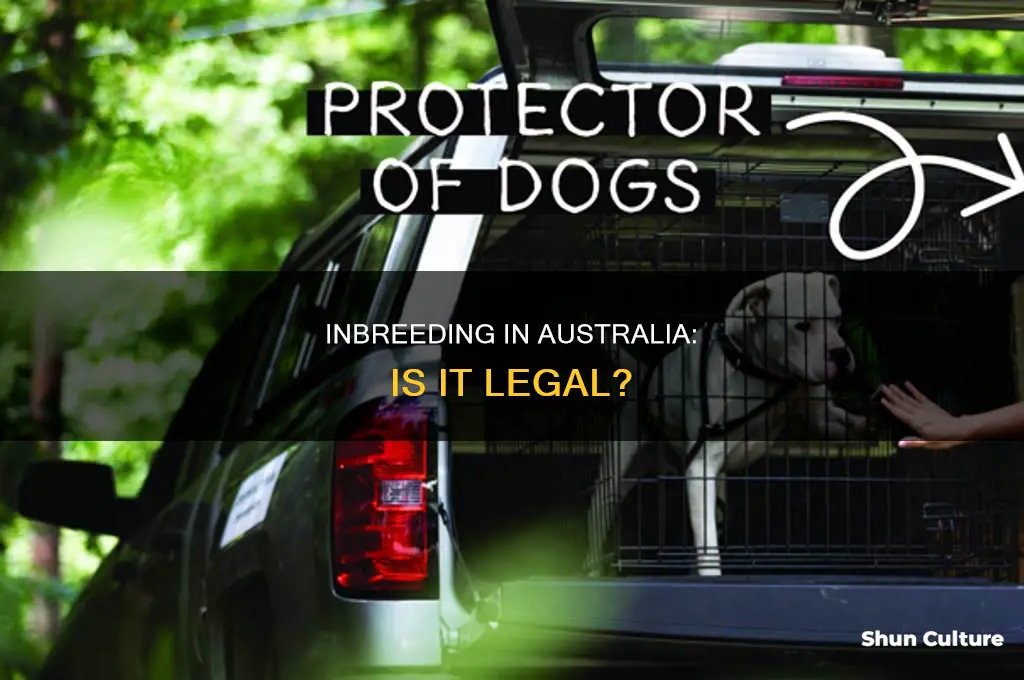 is inbreeding illegal in australia