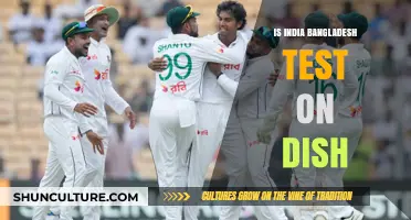 Is India vs Bangladesh Test Cricket on Dish TV?
