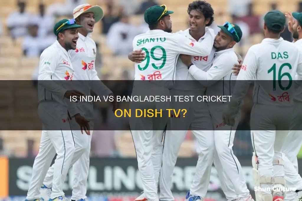 is india bangladesh test on dish