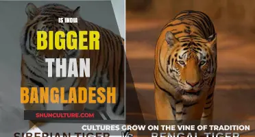 India vs Bangladesh: Comparing Land Size and Population Differences