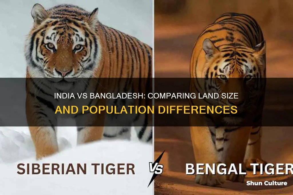 is india bigger than bangladesh
