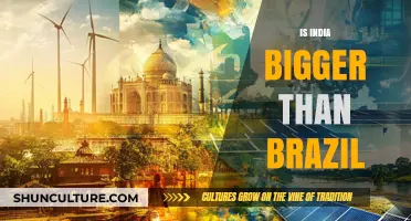 India vs. Brazil: Comparing Land Size, Population, and Geography