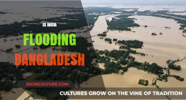 Is India's Water Management Flooding Bangladesh? A Critical Analysis