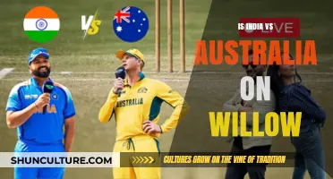 Willow TV: Can You Watch India vs Australia?
