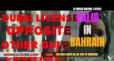 Driving in Bahrain: Indian License Validity