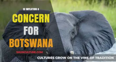 Is Inflation Threatening Botswana's Economic Stability and Growth Prospects?