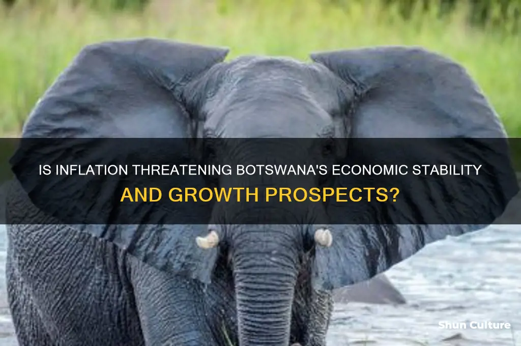 is inflation a concern for botswana