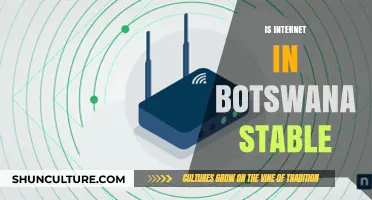 Is Botswana's Internet Reliable? Exploring Stability and Connectivity Challenges
