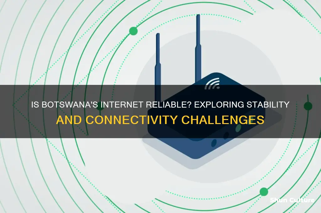 is internet in botswana stable
