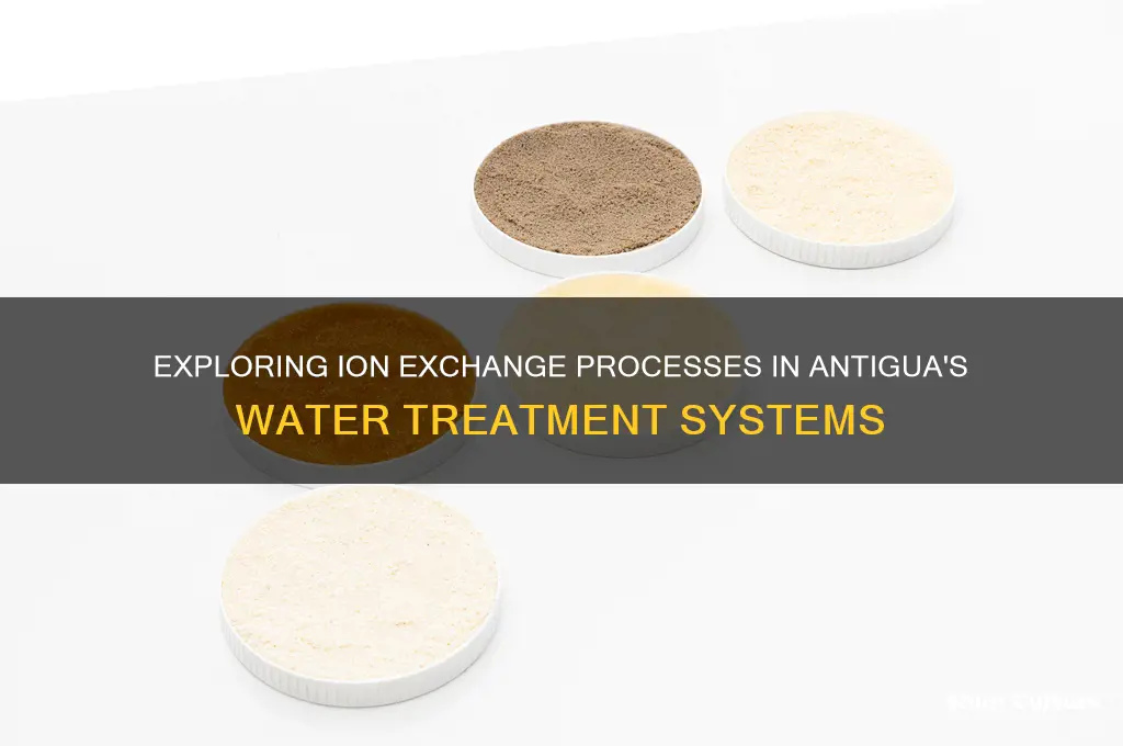 is ion exchange done in antigua