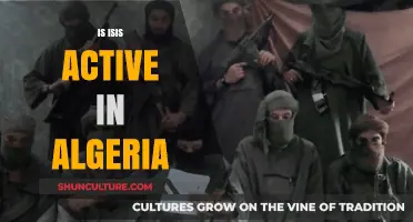 Is ISIS Still a Threat in Algeria? Current Status and Risks