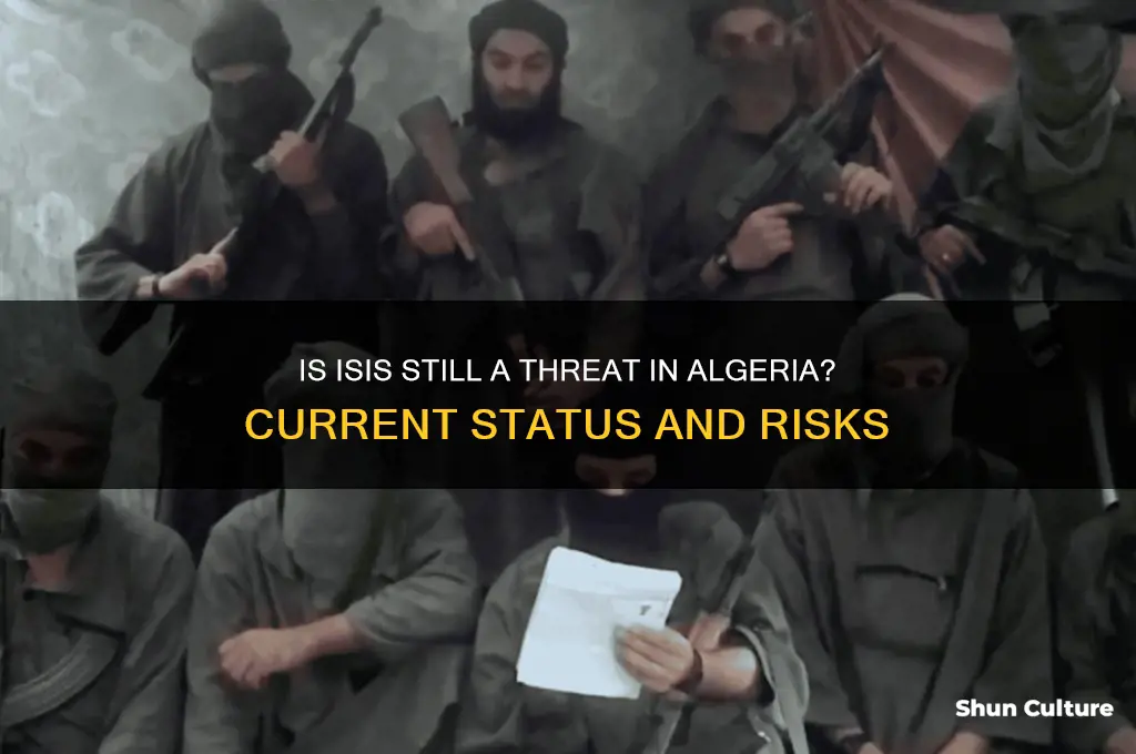 is isis active in algeria