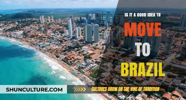 Should You Move to Brazil? Pros, Cons, and Practical Tips