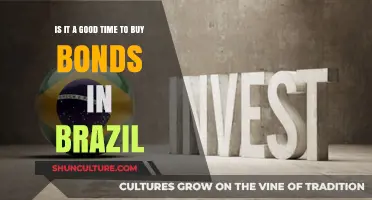 Brazil Bonds: Is Now the Right Time to Invest?
