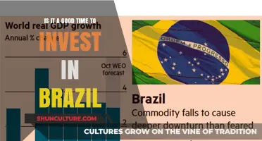 Is Brazil's Economy Poised for Growth? Investing Opportunities in 2023