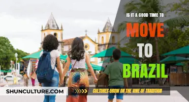 Should You Move to Brazil Now? Pros, Cons, and Timing Tips